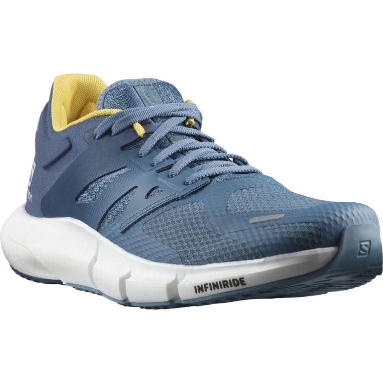 Blue Salomon Predict 2 Men's Running Shoes | IE UR9271